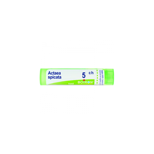 Boiron ACTAEA SPICATA*5CH 80GR 4G Boiron ACTAEA SPICATA*5CH 80GR 4G