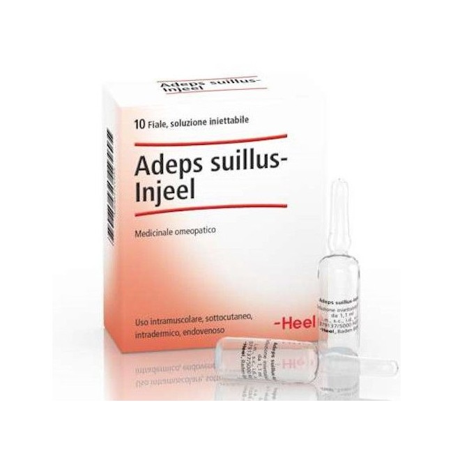 ADEPS SUILLUS INJEEL 10 FIALE HEEL ADEPS SUILLUS INJEEL 10 FIALE HEEL