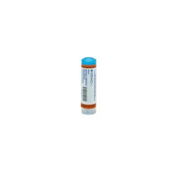 AESCULUS HIPPOC*7CH 80GR 4G