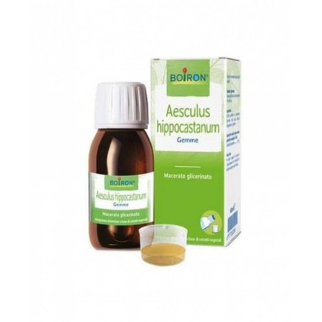 AESCULUS HIPPOCAS 100 ML MACERATO GLICERICO