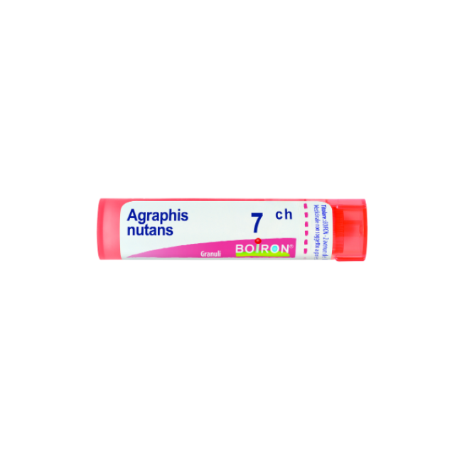 Boiron AGRAPHIS NUT *7CH 80GR 4G Boiron AGRAPHIS NUT *7CH 80GR 4G
