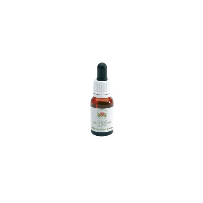 ALPINE MINT BUSH ESSENZA 15 ML 1 PEZZO ALPINE MINT BUSH ESSENZA 15 ML 1 PEZZO