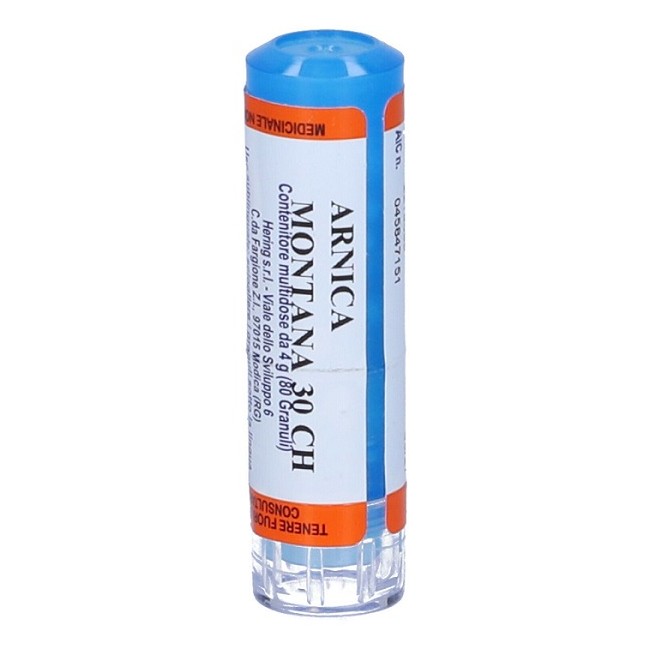 ARNICA MONTANA*30CH 80GR 4G ARNICA MONTANA*30CH 80GR 4G