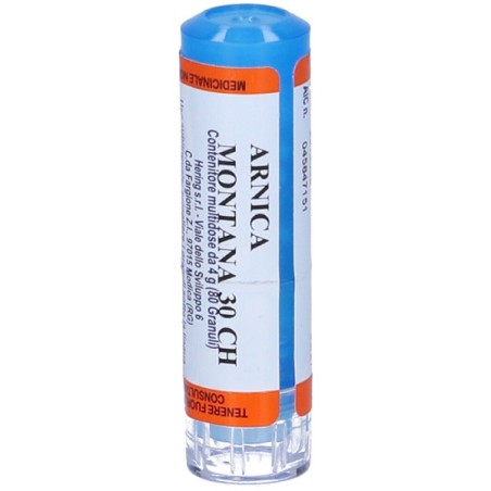 ARNICA MONTANA*30CH 80GR 4G ARNICA MONTANA*30CH 80GR 4G