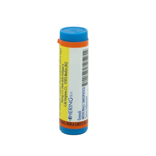 ARNICA MONTANA*30CH GL 1G