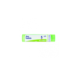 Boiron ASA FOETIDA*5CH 80GR 4G