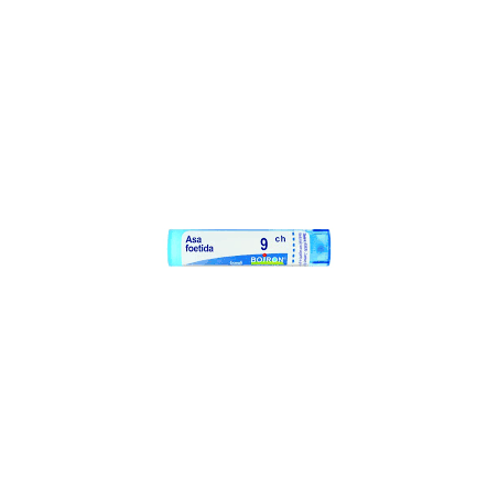 Boiron ASA FOETIDA*9CH 80GR 4G