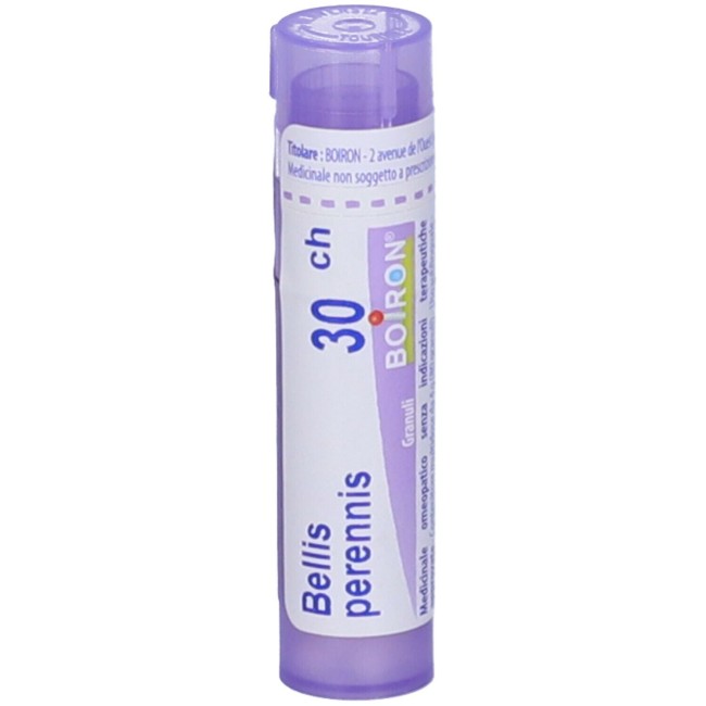 Boiron BELLIS PERENNIS*30CH 80GR 4G Boiron BELLIS PERENNIS*30CH 80GR 4G