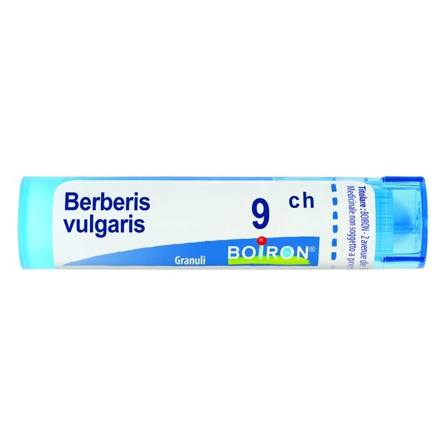 Boiron BERBERIS VULGARIS*9CH 80GR 4G Boiron BERBERIS VULGARIS*9CH 80GR 4G