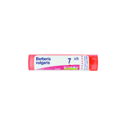 Boiron BERBERIS VULGARIS*7CH 80GR 4G