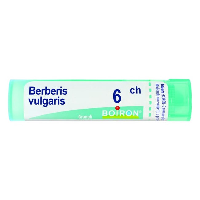 Boiron BERBERIS VULGARIS*6CH 80GR 4G Boiron BERBERIS VULGARIS*6CH 80GR 4G
