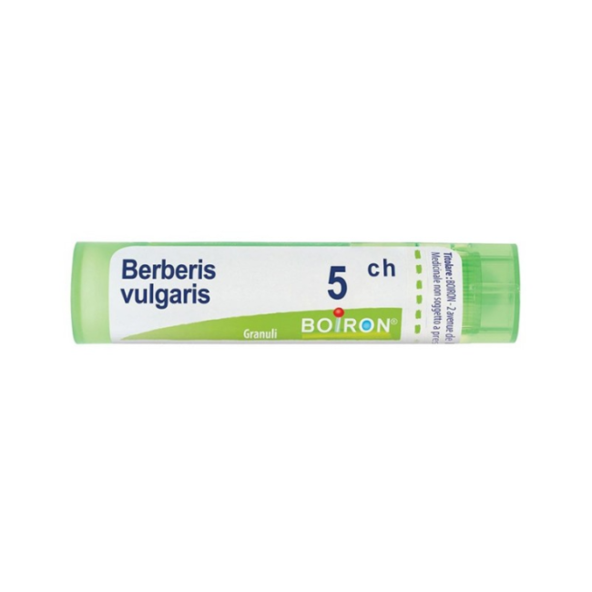 Boiron BERBERIS VULGARIS*5CH 80GR 4G Boiron BERBERIS VULGARIS*5CH 80GR 4G