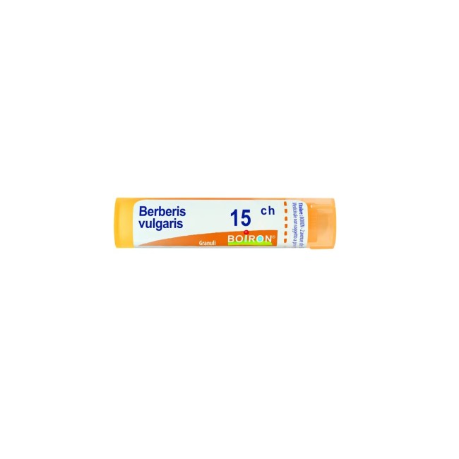 Boiron BERBERIS VULGARIS*15CH 80GR 4G Boiron BERBERIS VULGARIS*15CH 80GR 4G