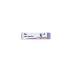 Boiron RHUS TOXICODENDRON*30CH GL 1G