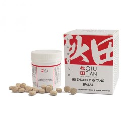 Bu Zhong Yi Qi Tang Similar 100 Compresse