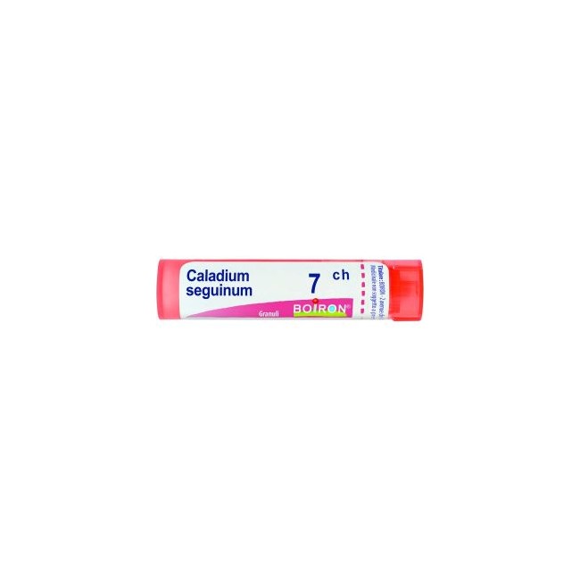 Boiron CALADIUM SEG *7CH 80GR 4G Boiron CALADIUM SEG *7CH 80GR 4G
