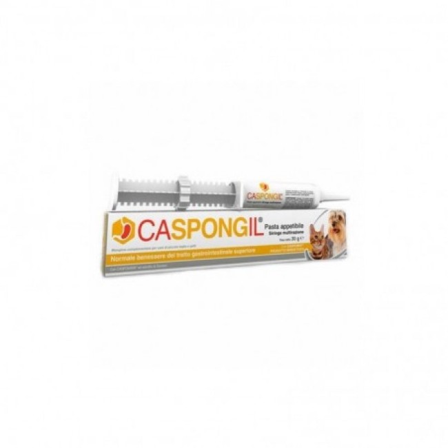 Caspongil Pasta 30 G