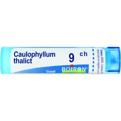 CAULOPHYLLUM THALICTROIDES*9CH