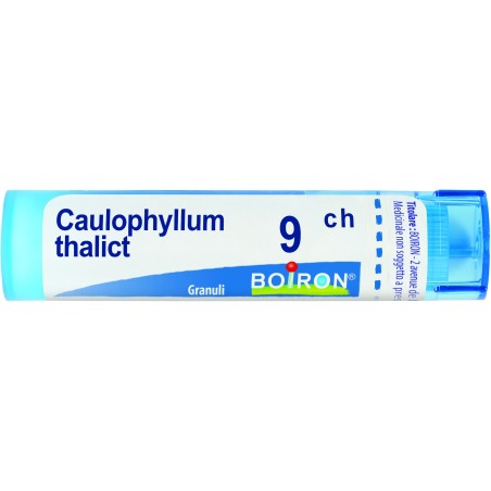 CAULOPHYLLUM THALICTROIDES*9CH CAULOPHYLLUM THALICTROIDES*9CH