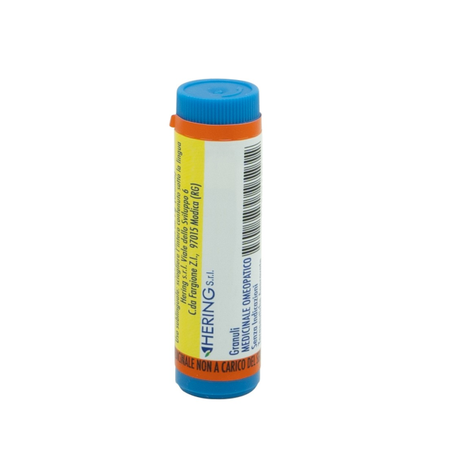 CHAMOMILLA*200CH GR 4G CHAMOMILLA*200CH GR 4G