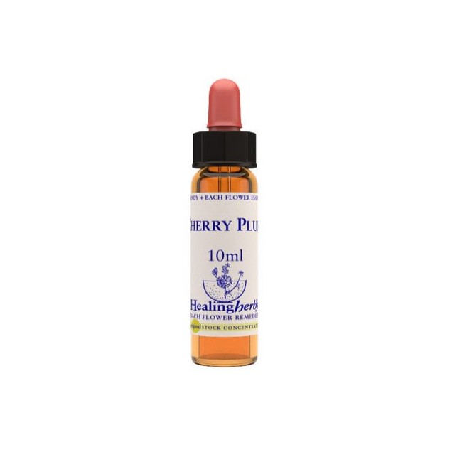 CHERRY PLUM ESSENZA 10 ML 1 PEZZO