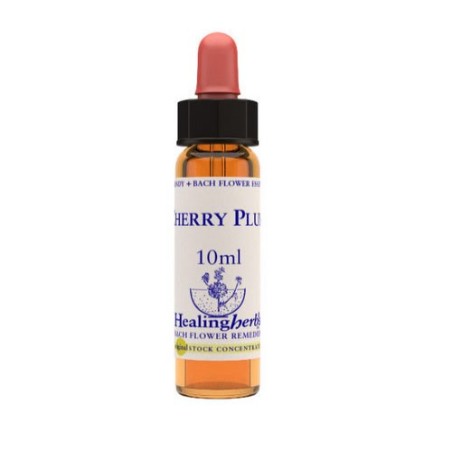 CHERRY PLUM ESSENZA 10 ML 1 PEZZO