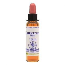 CHESTNUT BUD ESSENZA 10 ML 1 PEZZO