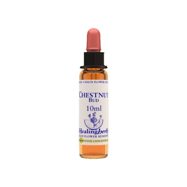 CHESTNUT BUD ESSENZA 10 ML 1 PEZZO CHESTNUT BUD ESSENZA 10 ML 1 PEZZO