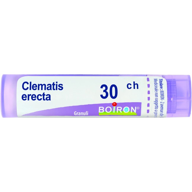 Boiron CLEMATIS ERECTA*30CH 80GR 4G Boiron CLEMATIS ERECTA*30CH 80GR 4G