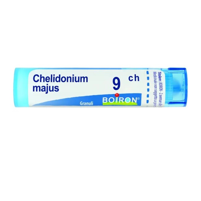 Boiron CHELIDONIUM MAJUS*9CH 80GR 4G Boiron CHELIDONIUM MAJUS*9CH 80GR 4G