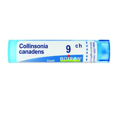 Boiron COLLINSONIA C *9CH 80GR