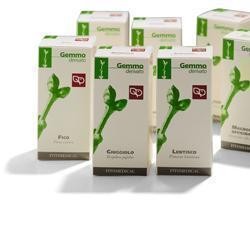Fitomedical Magnolia Officinale Macerato Glicerico 100 Ml