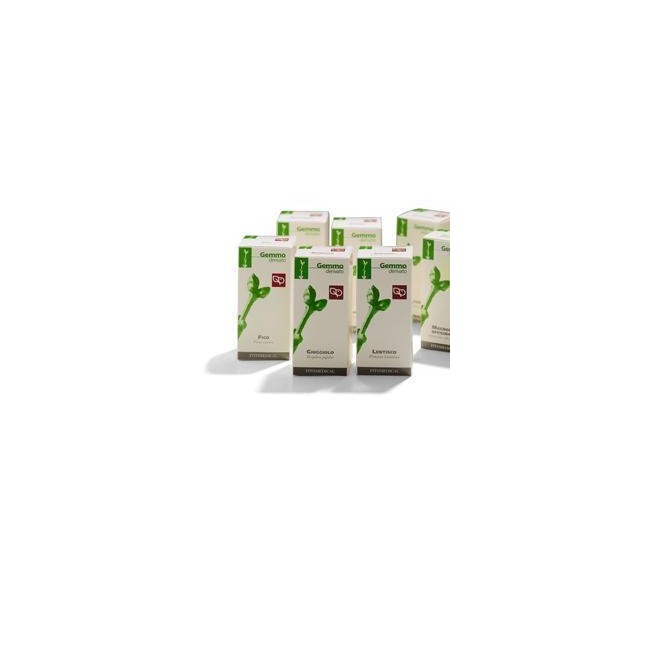 Fitomedical Magnolia Officinale Macerato Glicerico 100 Ml Fitomedical Magnolia Officinale Macerato Glicerico 100 Ml