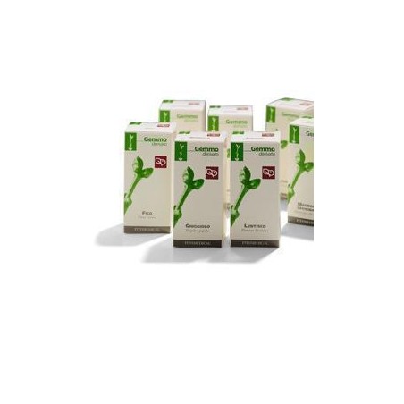 Fitomedical Magnolia Officinale Macerato Glicerico 100 Ml Fitomedical Magnolia Officinale Macerato Glicerico 100 Ml