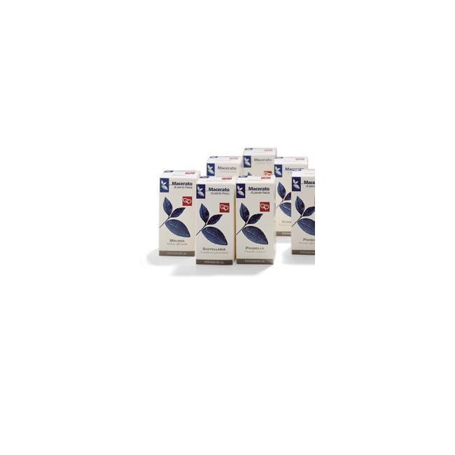 Fitomedical Scutellaria Tintura Madre 100 Ml