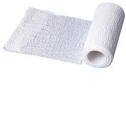 Phyto Performance Italia Benda Elastica Zincabend Con Pasta All'ossido Di Zinco Cm10x5m 1 Pezzo