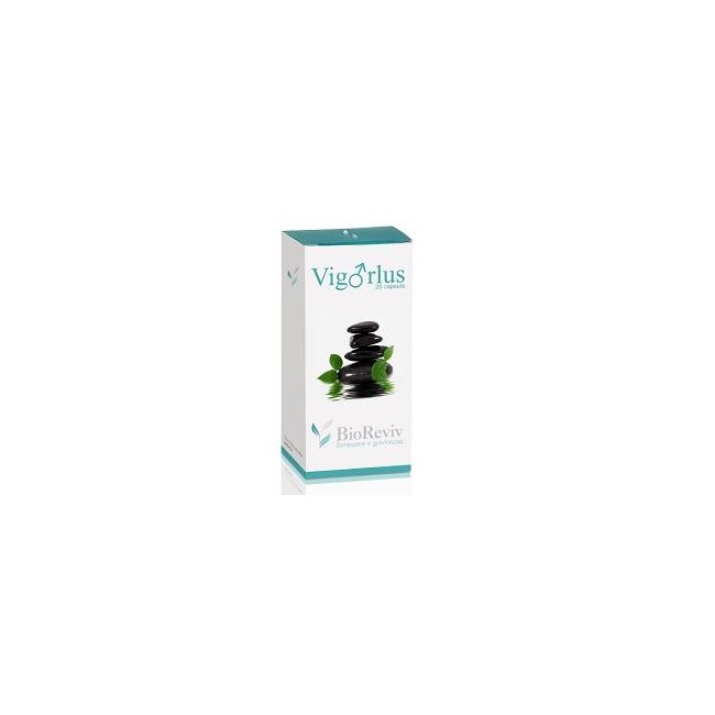 Stars Corporation Vigorlus Bioreviv 20 Capsule Stars Corporation Vigorlus Bioreviv 20 Capsule