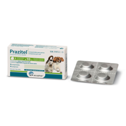 Prazitel