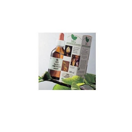 Rosmarino Macerato Glicerico 100 Ml