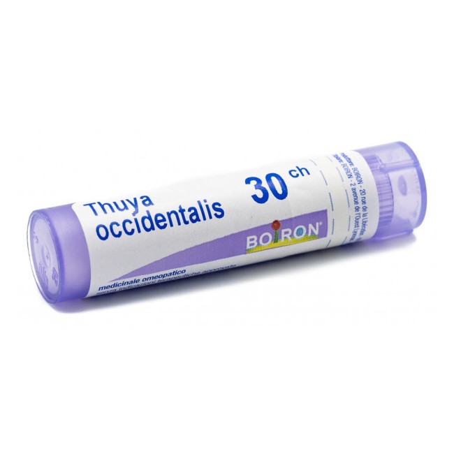 Laboratoires Boiron Thuya Occidentalis 30 Ch Granuli Laboratoires Boiron Thuya Occidentalis 30 Ch Granuli