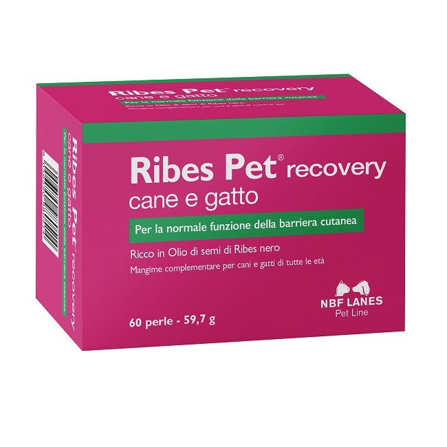 Ribes Pet Recovery Blister 60 Perle Ribes Pet Recovery Blister 60 Perle