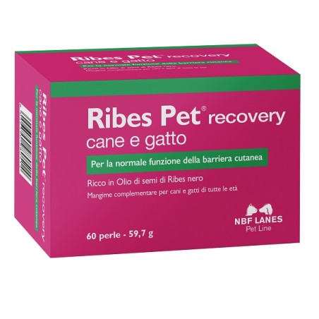 Ribes Pet Recovery Blister 60 Perle Ribes Pet Recovery Blister 60 Perle