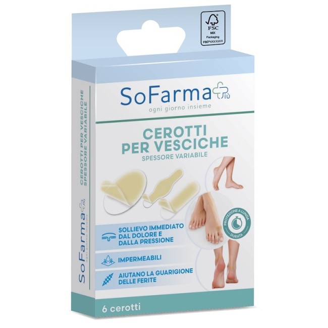 Cerotto Vescica Assortiti Sofarmapiu' 6 Pezzi