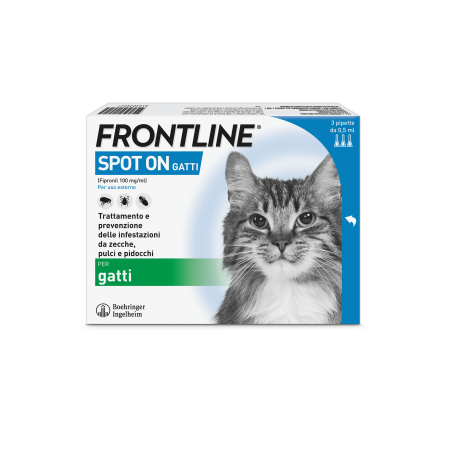 Frontline Spot On Gatti