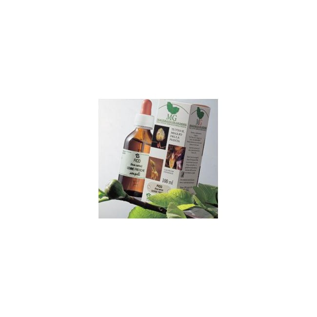 Sequoia Macerato Glicerico 100 Ml