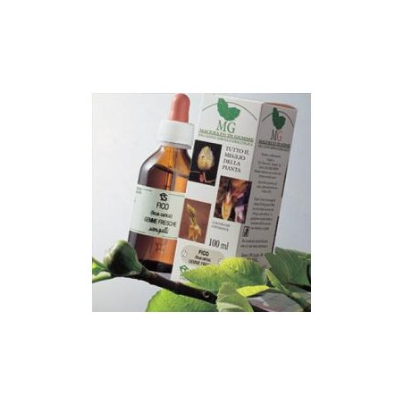 Sequoia Macerato Glicerico 100 Ml