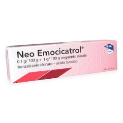 Neo Emocicatrol 0,1g/100g + 1g/100g Unguento Nasale 20g
