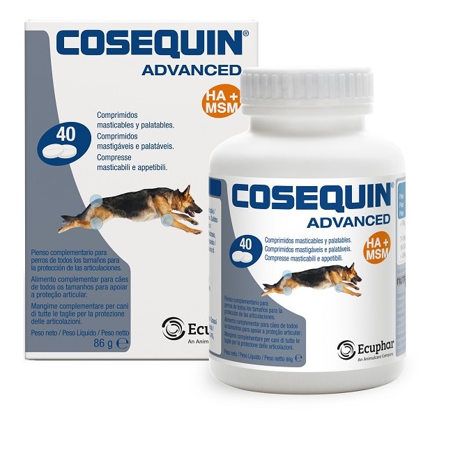 Cosequin Gatti 15 Capsule Cosequin Gatti 15 Capsule
