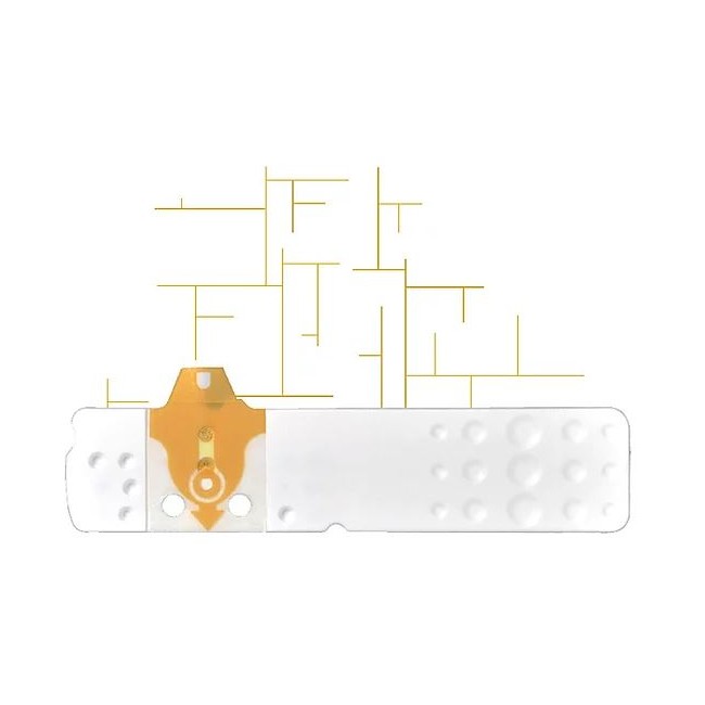 STRISCE MISURAZIONE GLICEMIA LINEA D ORO 25 PEZZI STRISCE MISURAZIONE GLICEMIA LINEA D ORO 25 PEZZI