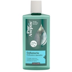 Puraseptic Collutorio Purificante Riparatore 250 Ml